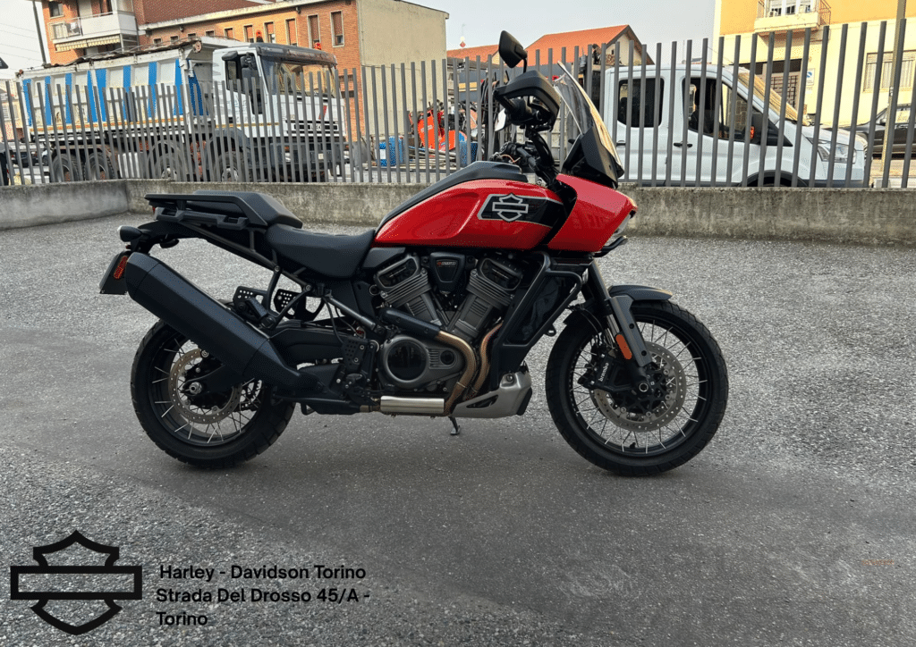 Harley Davidson Torino (70)