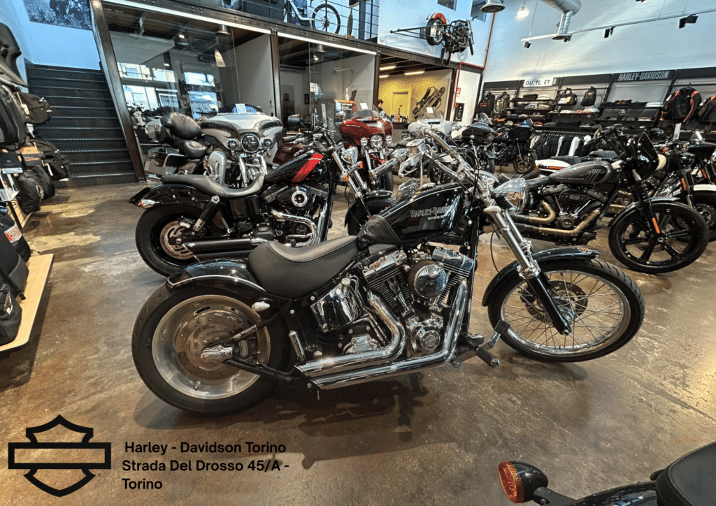 Harley Davidson Torino (73)