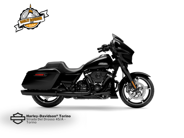 Harley-Davidson-Torino (1)