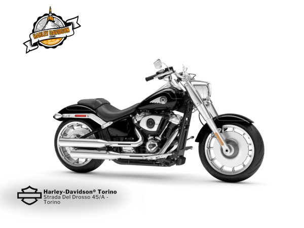 Harley-Davidson-Torino (1)