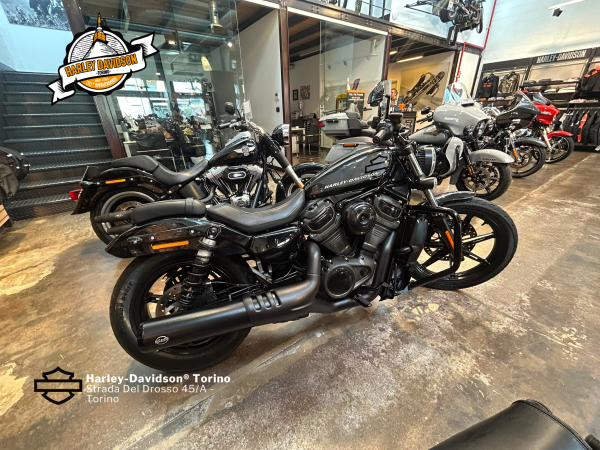 Harley-Davidson-Torino (10)