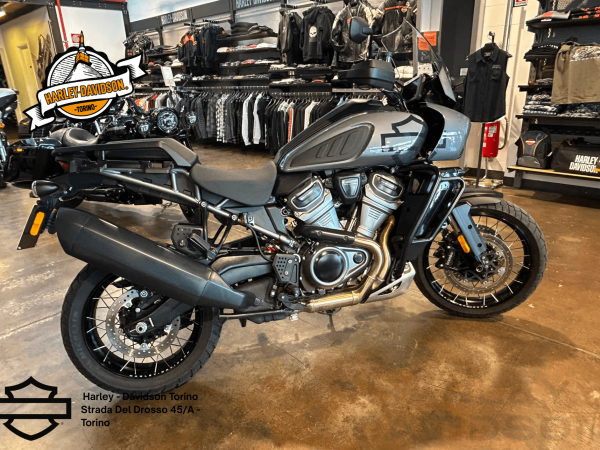Harley Davidson Torino (10)