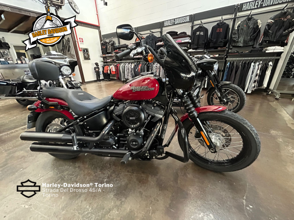 Harley-Davidson-Torino (11)