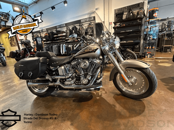Harley Davidson Torino (11)