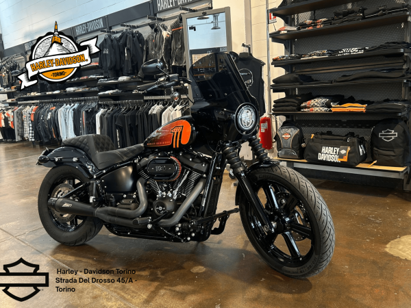 Harley Davidson Torino (13)