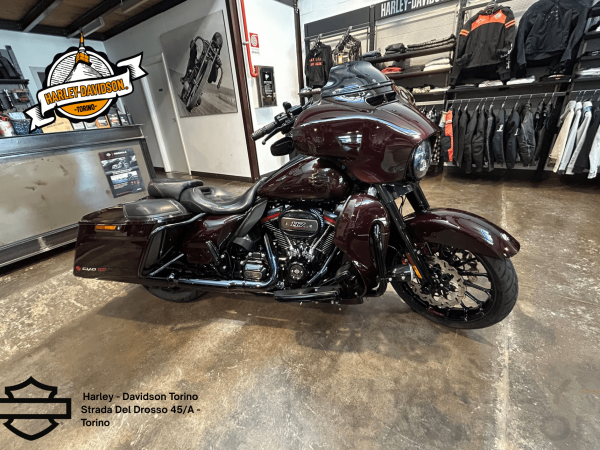 Harley Davidson Torino (14)