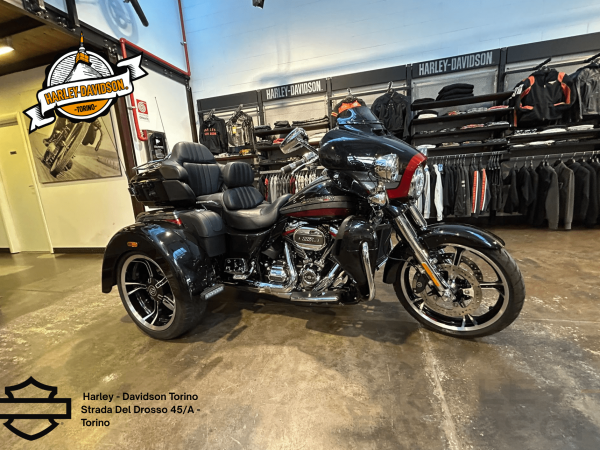 Harley Davidson Torino (15)