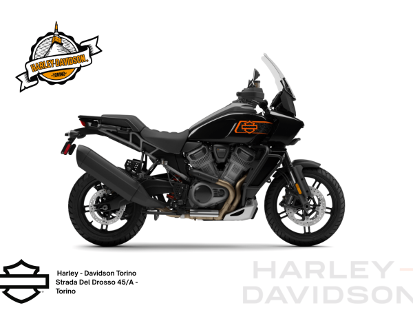 Harley Davidson Torino (16)