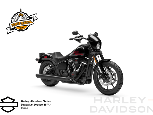 Harley Davidson Torino (17)