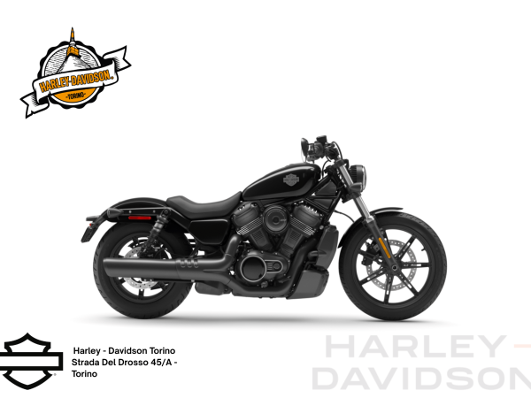 Harley Davidson Torino (19)
