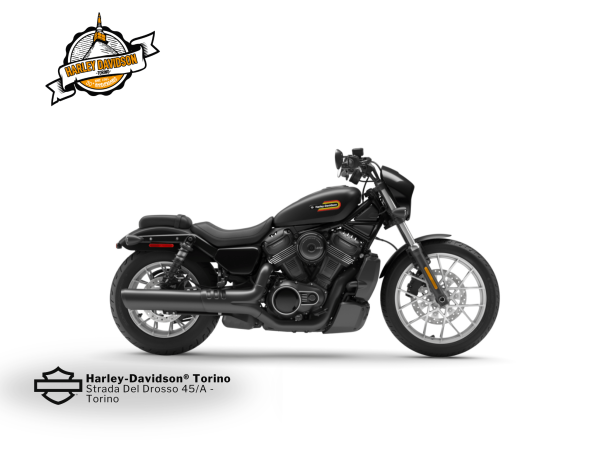 Harley-Davidson-Torino (2)