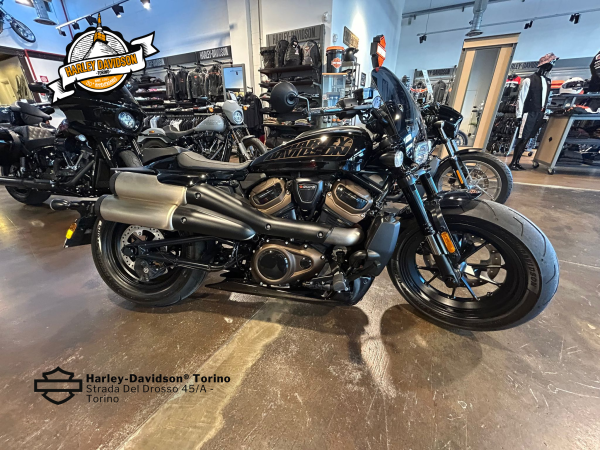 Harley-Davidson-Torino (2)