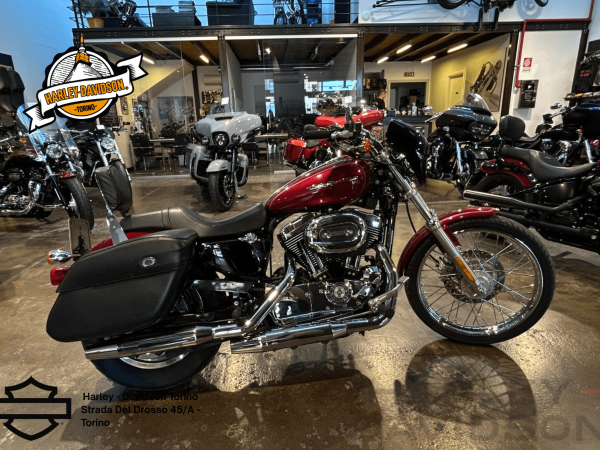 Harley Davidson Torino (2)