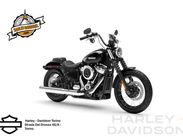 Harley Davidson Torino (2)