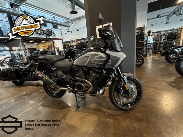 Harley Davidson Torino (20)