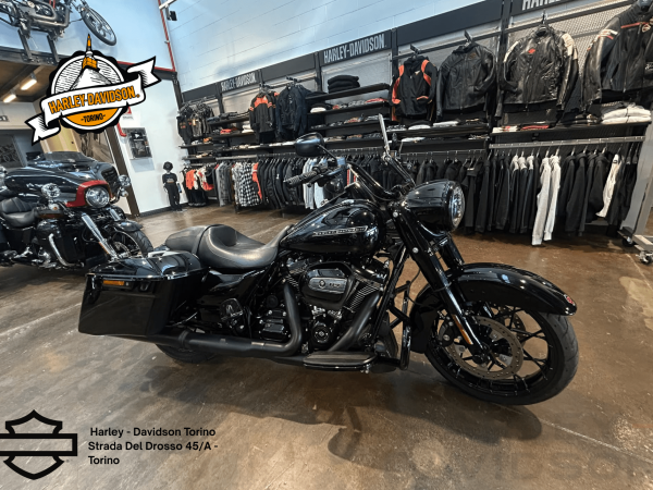 Harley Davidson Torino (21)