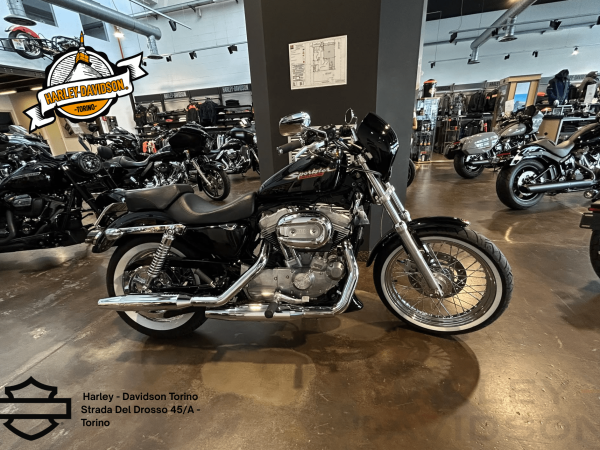 Harley Davidson Torino (24)