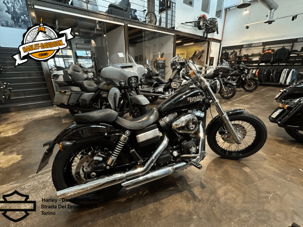 Harley Davidson Torino (25)