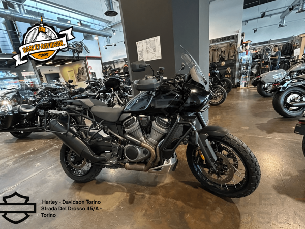 Harley Davidson Torino (26)