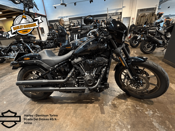 Harley Davidson Torino (28)