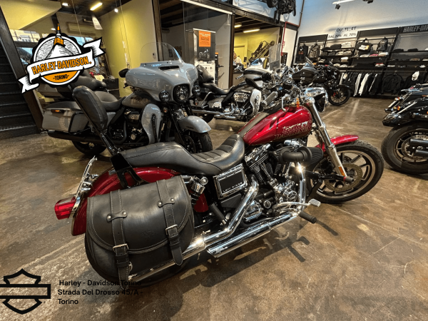 Harley Davidson Torino (29)