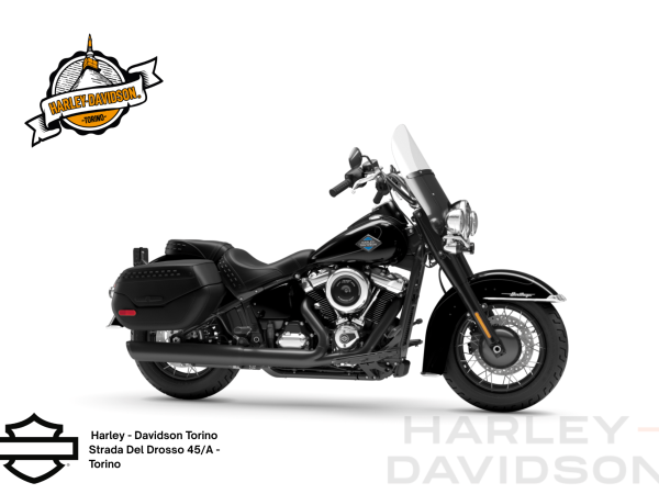 Harley Davidson Torino (3)