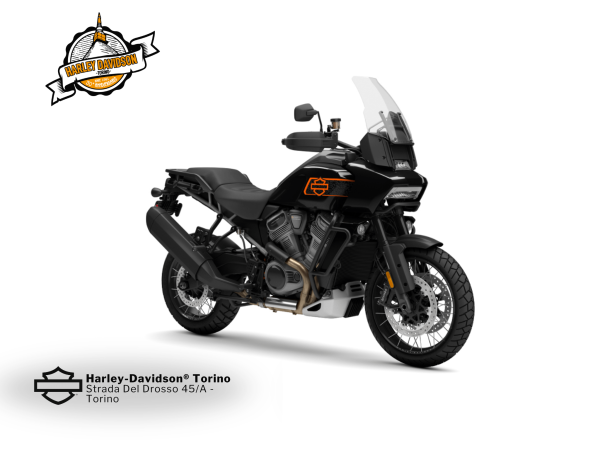 Harley-Davidson-Torino (3)