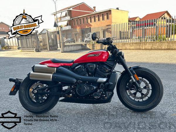 Harley Davidson Torino (3)