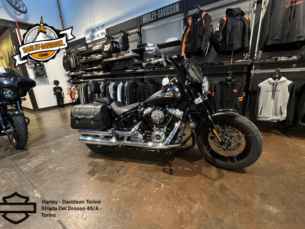 Harley Davidson Torino (30)