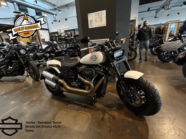 Harley Davidson Torino (31)