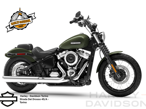 Harley Davidson Torino (36)