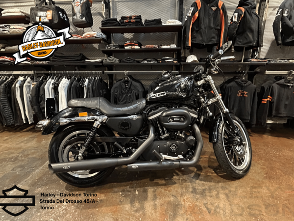 Harley Davidson Torino (37)