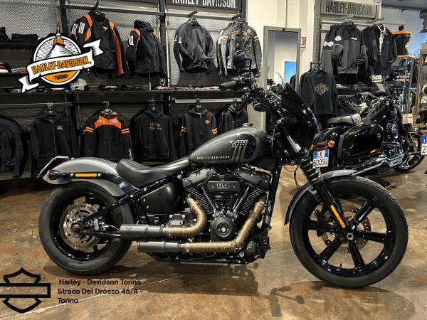 Harley Davidson Torino (38)