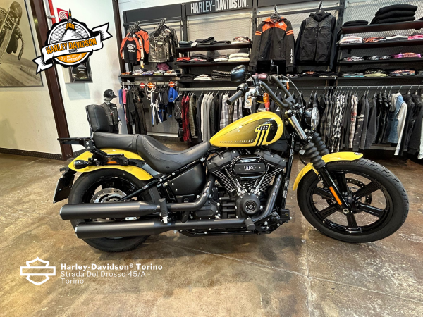 Harley-Davidson-Torino (4)