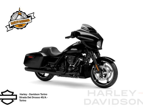 Harley Davidson Torino (4)