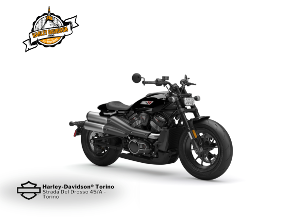 Harley-Davidson-Torino (4)