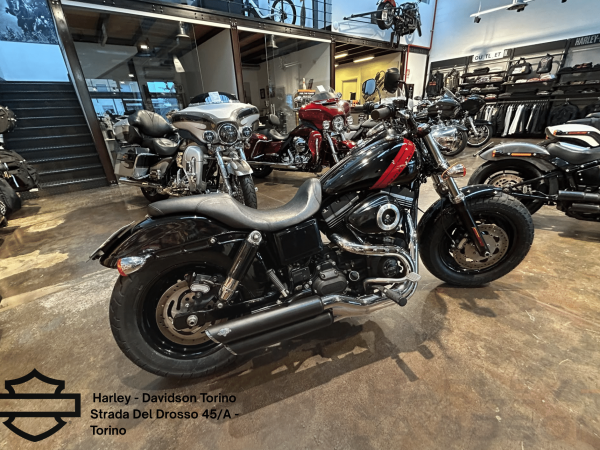 Harley Davidson Torino (4)