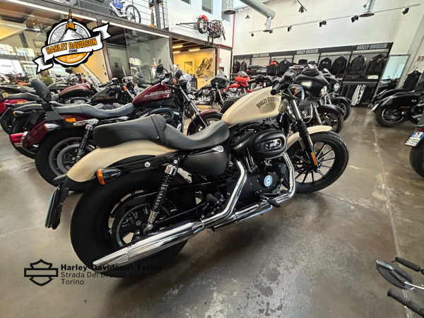 Harley-Davidson-Torino (5)