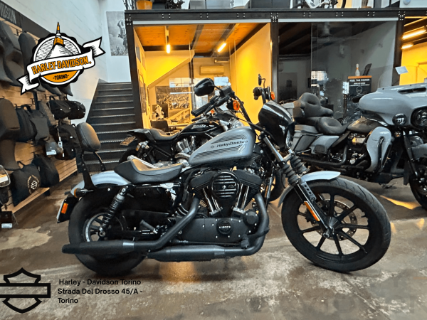 Harley Davidson Torino (5)