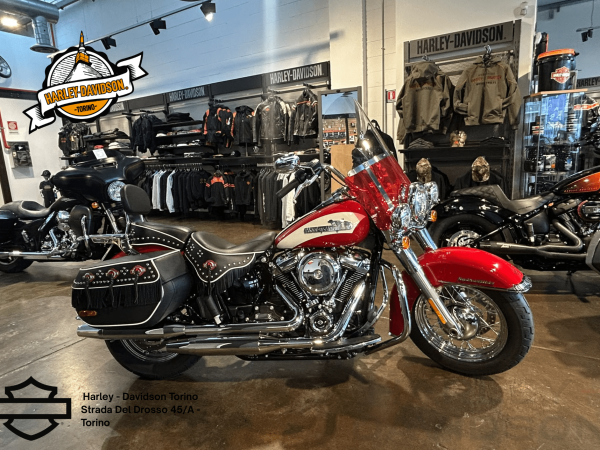 Harley Davidson Torino (5)