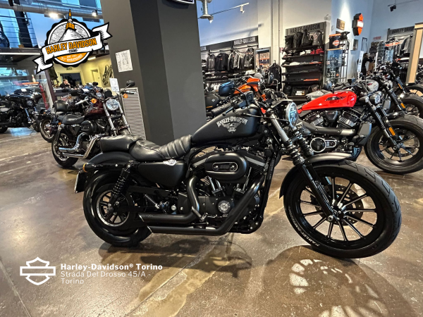 Harley-Davidson-Torino (5)