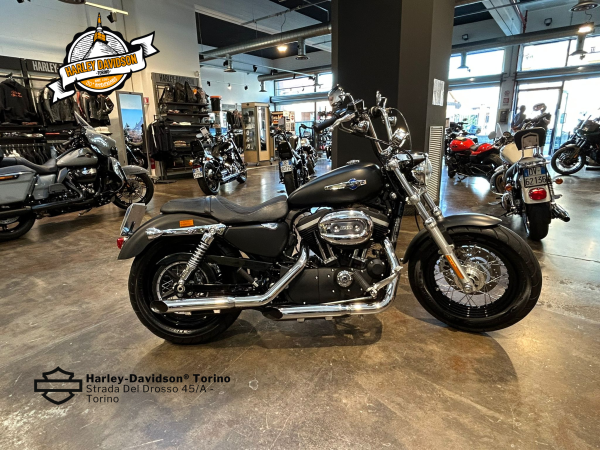 Harley-Davidson-Torino (5)