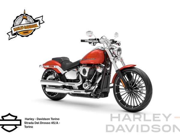 Harley Davidson Torino