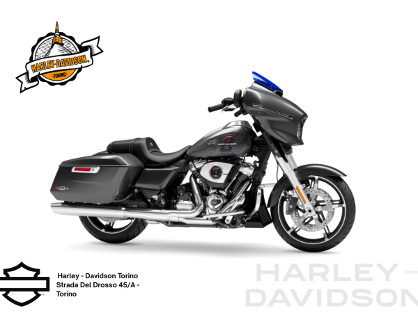 Harley Davidson Torino (5)