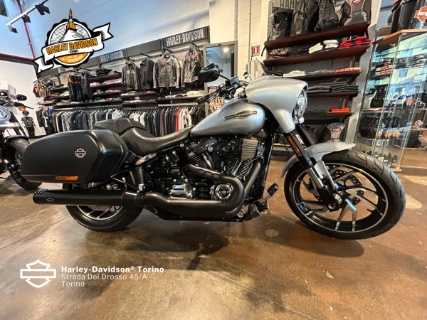 Harley-Davidson-Torino (6)