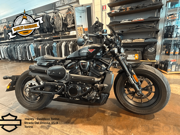 Harley Davidson Torino (6)