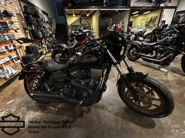 Harley Davidson Torino (6)