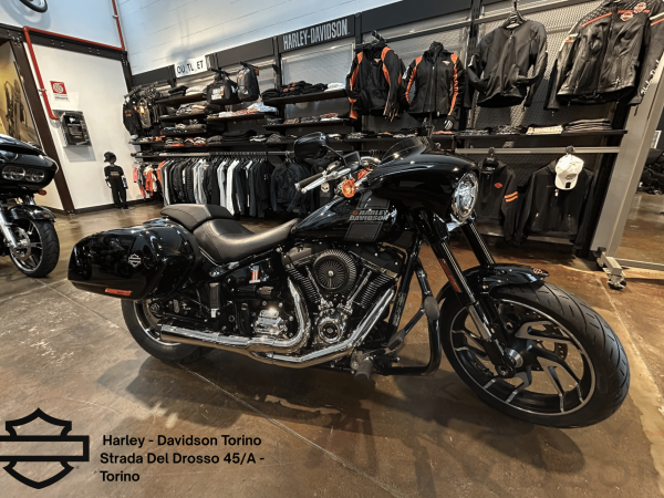 Harley Davidson Torino (65)