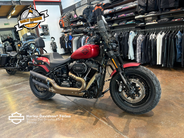 Harley-Davidson-Torino (67)