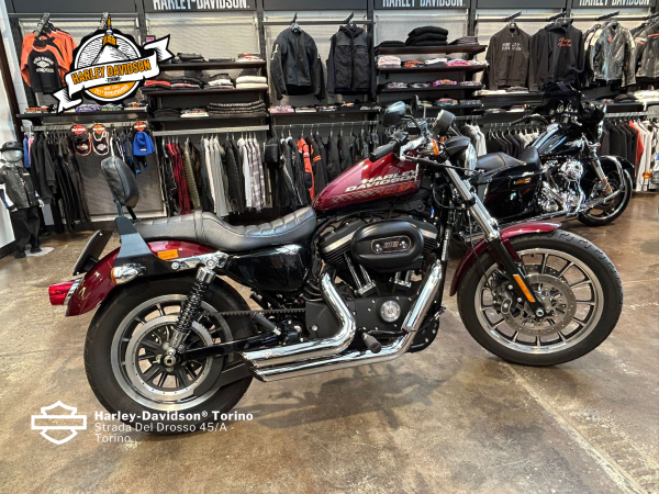 Harley-Davidson-Torino (67)